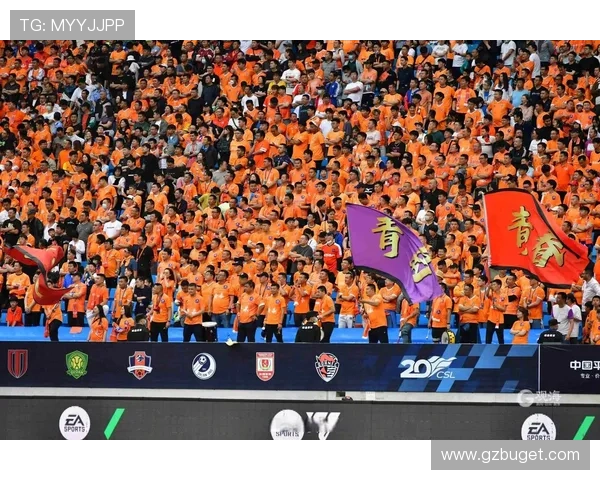 中超联赛新浪体育新浪网（新浪中超足球）sports